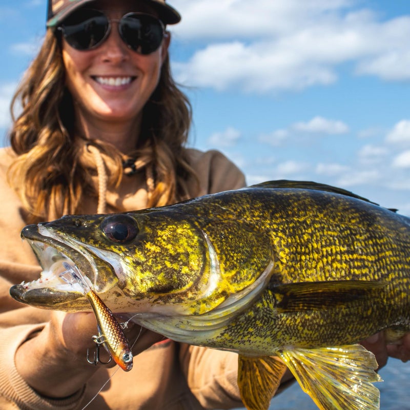 أداة صيد السمك من Northland، لعبة Pitchin' Puppet Darting لصيد السمك الفاخر من أجل القفز المفاجئ والرمي، 5/16 أونصة، سيارة سباق زرقاء - Image 4